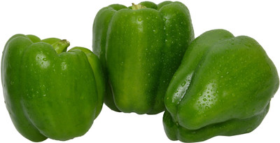 USTAR (IND 51) HYBRID F1 CAPSICUM SEED Seed(200 per packet)