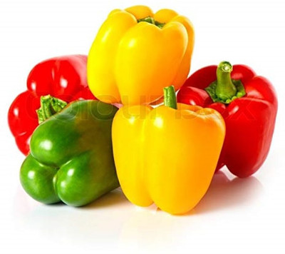 USTAR (IND 54) F1 MIX SEED CAPSICUM SHIMLA MIRCH) SEEDS Seed(200 per packet)