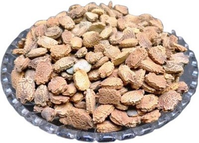 Kesariwala BITTER GOURD (10 G) SEEDS - KARELA BEEJ - MOMORDICA CHARANTIA Seed(100 per packet)