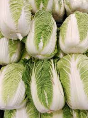 sporos CHINES CABBAGE Seed(25 per packet)
