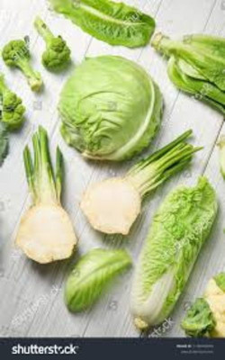 Corofitam CHINES CABBAGE Seed(25 per packet)
