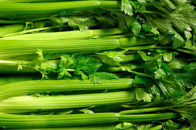 sporos CELERY Seed(25 per packet)