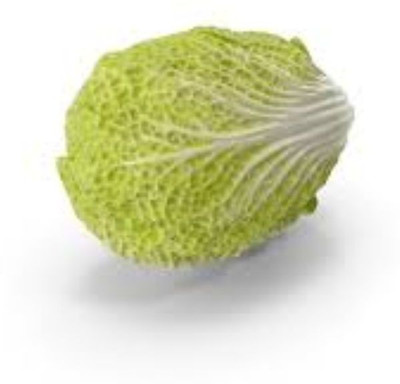 Corofitam CHINES CABBAGE Seed(25 per packet)
