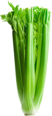 sporos CELERY Seed(25 per packet)