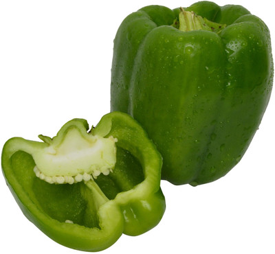 USTAR (IND 52) HYBRID F1 CAPSICUM SEED Seed(200 per packet)