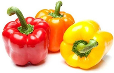 USTAR (IND 14) BEST QUALITY HYBRID HIGH PRODUCTION F1 CAPSICUM MIX SEED OF CAPSICUM HIGH IN TASTE ( SHIMLA MIRCH) SEEDS Seed(200 per packet)