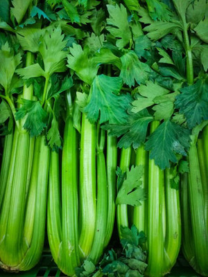sporos CELERY Seed(25 per packet)