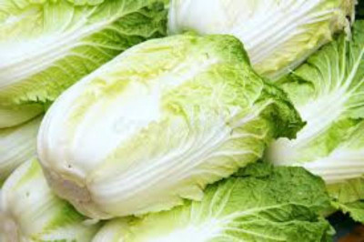 Corofitam CHINES CABBAGE Seed(25 per packet)