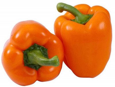 USTAR CAPSICUM Seed(200 per packet)