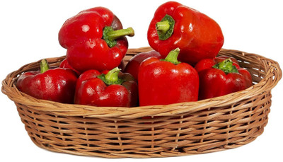 USTAR (IND 23 BEST QUALITY HYBRID HIGH PRODUCTION F1 CAPSICUM MIX SEED OF CAPSICUM HIGH IN TASTE ( SHIMLA MIRCH) SEEDS Seed(200 per packet)