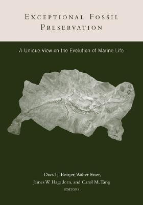Exceptional Fossil Preservation(English, Hardcover, unknown)