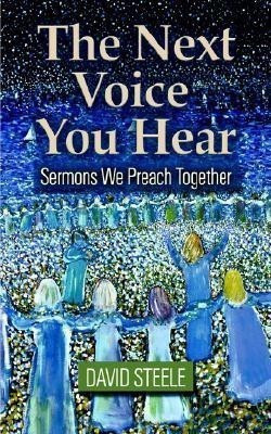 The Next Voice You Hear(English, Paperback, Steele David)