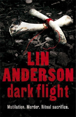 Dark Flight(English, Hardcover, Anderson Lin)