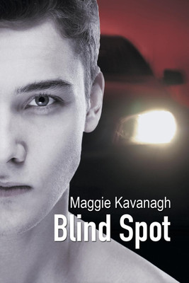 Blind Spot(English, Paperback, Kavanagh Maggie)