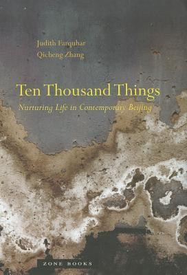 Ten Thousand Things(English, Hardcover, Farquhar Judith)