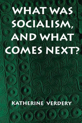 What Was Socialism, and What Comes Next?(English, Paperback, Verdery Katherine)