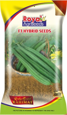 ROYAL AGRISEEDS RIDGEGOURD F1 HYBRID SEEDS Seed(30 per packet)