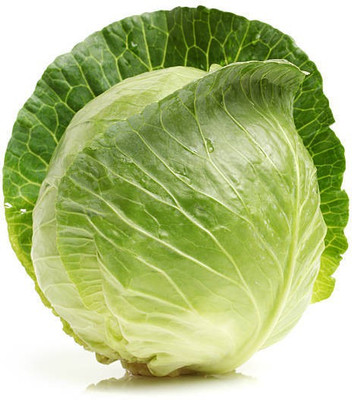 sporos Cabbage Seed(10 per packet)