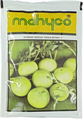 Mahyco Tinda Seed(3 per packet)