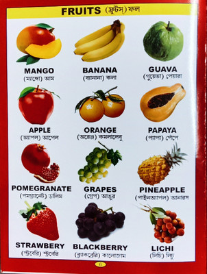 Fruits Recognition English To Bengali Children's Word Book(Paperback, Editorial Team)