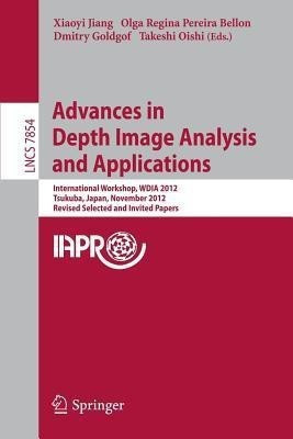 Advances in Depth Images Analysis and Applications(English, Paperback, unknown)