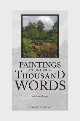 Paintings In Under A Thousand Words(English, Paperback, Teaford Sean M)