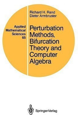 Perturbation Methods, Bifurcation Theory and Computer Algebra(English, Paperback, Rand Richard H.)