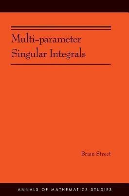 Multi-parameter Singular Integrals, Volume I(English, Paperback, Street Brian)