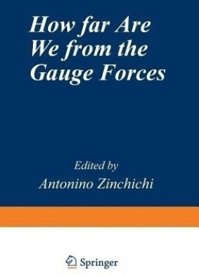 How Far Are We from the Gauge Forces(English, Paperback, unknown)