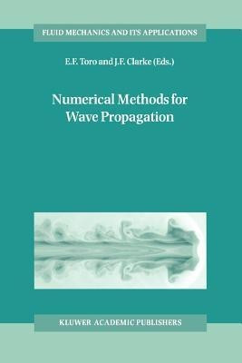 Numerical Methods for Wave Propagation(English, Paperback, unknown)