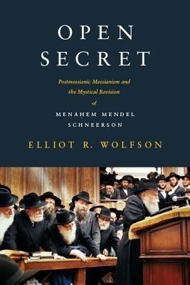 Open Secret(English, Paperback, Wolfson Elliot R.)