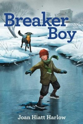 Breaker Boy(English, Paperback, Harlow Joan Hiatt)