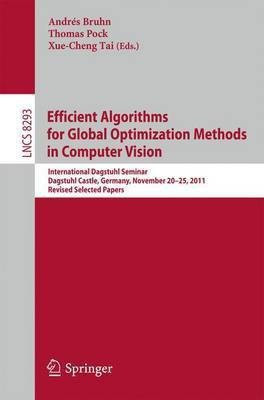 Efficient Algorithms for Global Optimization Methods in Computer Vision(English, Paperback, unknown)