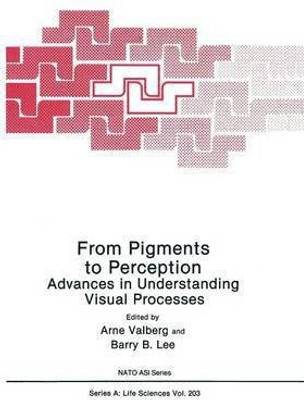 From Pigments to Perception(English, Paperback, unknown)