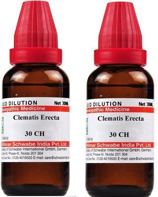 Dr.Willmar Schwabe India Clematis Erecta 30CH Liquid(2 x 30 ml)