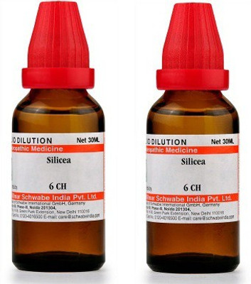 Dr.Willmar Schwabe India Silicea 6CH Liquid(2 x 30 ml)