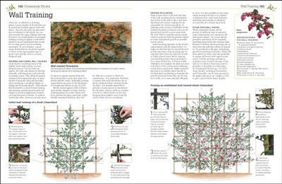 RHS Pruning and Training(English, Hardcover, Brickell Christopher)