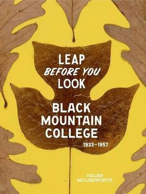 Leap Before You Look(English, Hardcover, Molesworth Helen)