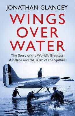 Wings Over Water(English, Paperback, Glancey Jonathan)