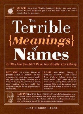 The Terrible Meanings of Names(English, Paperback, Hayes Justin Cord)