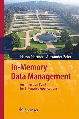 In-Memory Data Management(English, Hardcover, Plattner Hasso)