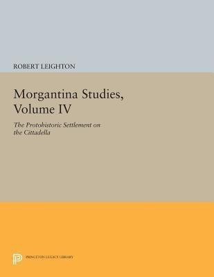 Morgantina Studies, Volume IV(English, Paperback, Leighton Robert)