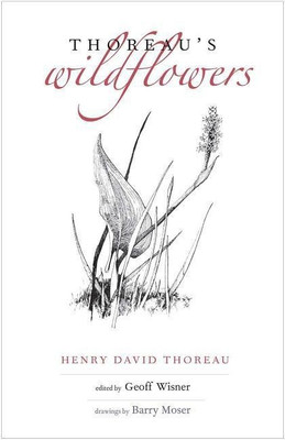 Thoreau's Wildflowers(English, Hardcover, Thoreau Henry David)
