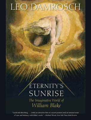 Eternity's Sunrise(English, Paperback, Damrosch Leo)