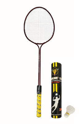 Scorpion Badminton Racket Set with feather shuttlecock Badminton Kit