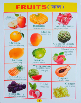 Fruits Word Book For Nursery Kid's(Paperback, Editorial Team)
