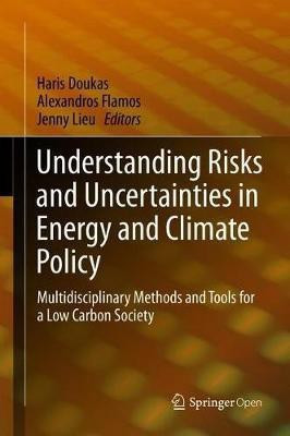 Understanding Risks and Uncertainties in Energy and Climate Policy(English, Hardcover, unknown)