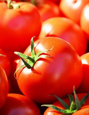 VNR Tomato Seed(30 per packet)