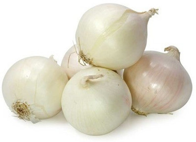 XOLDA Onion White Seed(21 per packet)