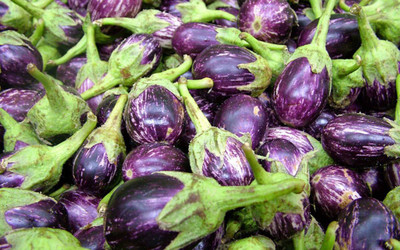 PLANTZON Brinjal Seed(19 per packet)